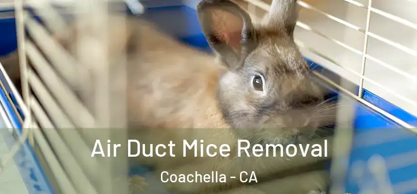  Air Duct Mice Removal Coachella - CA