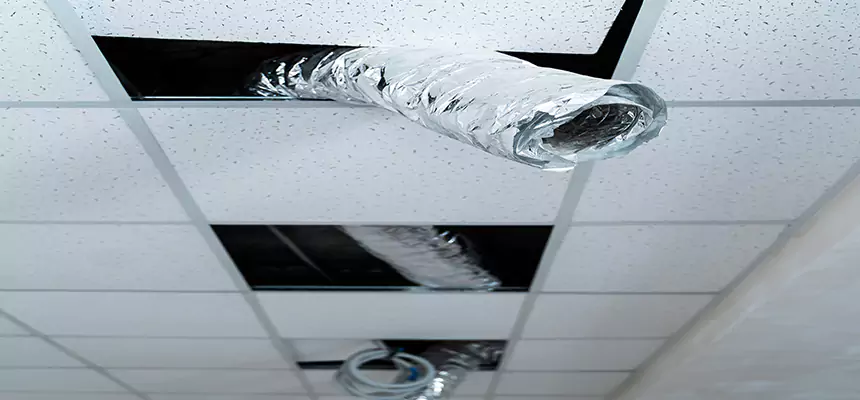 Affordable HVAC Sanitizing After Pest Removal in Coachella