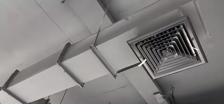 Our Rodent Droppings In Vents Services in Coachella, CA