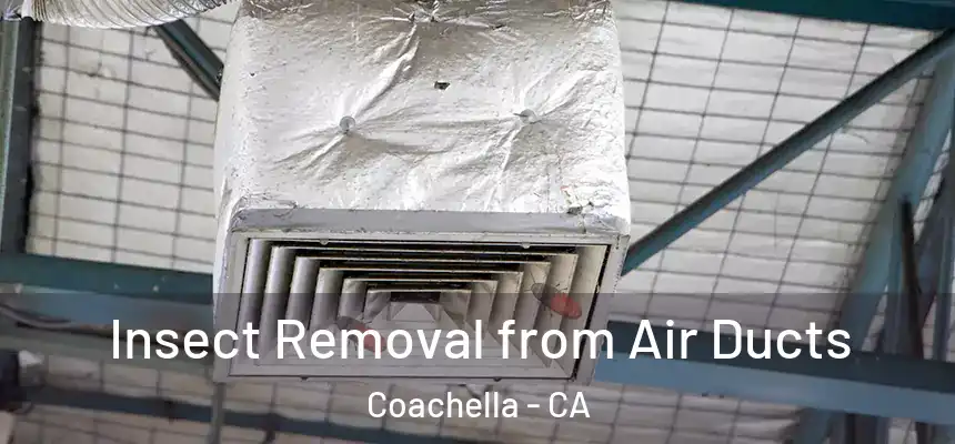  Insect Removal from Air Ducts Coachella - CA