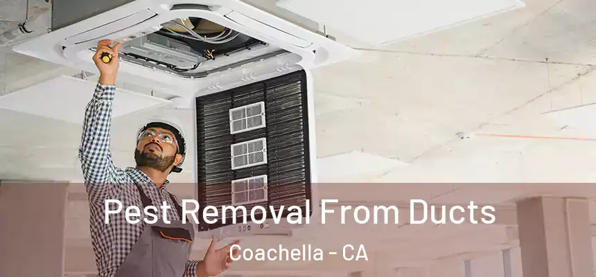  Pest Removal From Ducts Coachella - CA