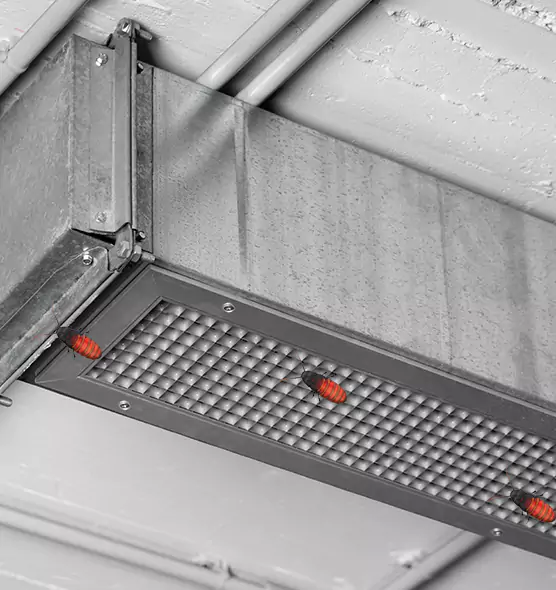 Affordable Insect Removal from Air Ducts in Coachella, CA