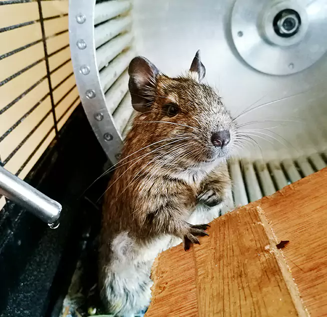 Why Homeowners & Businesses Trust Us Coachella, CA?