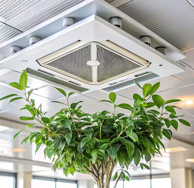 Why Homeowners & Businesses Trust Us in Coachella, CA?